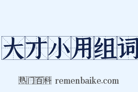 大才小用组词是什么意思的图片